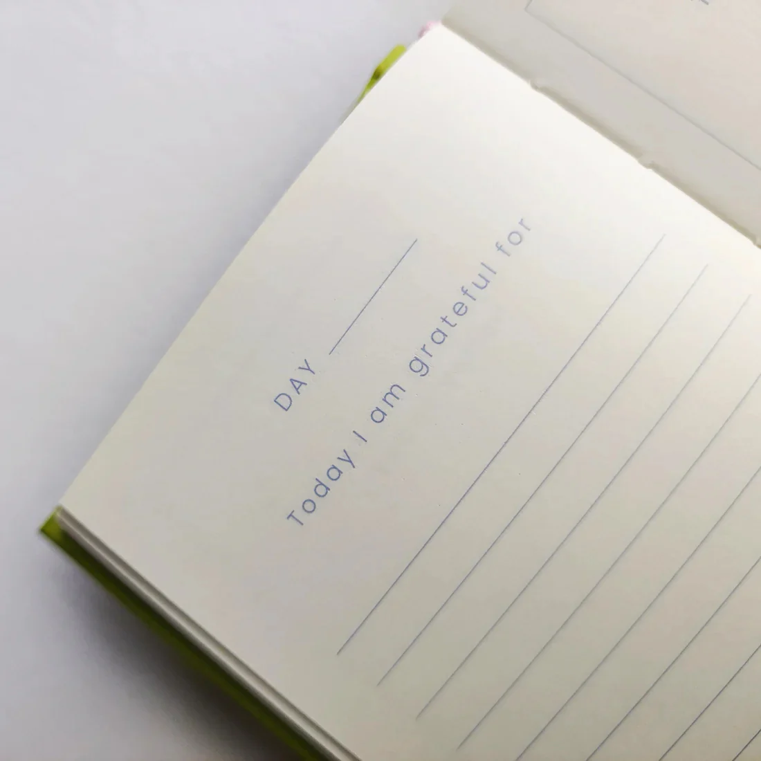 Petalscape Mini Happiness Journal | A7 | In Real Life - Image 8