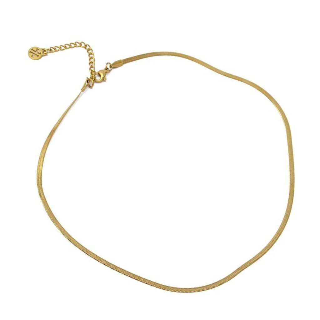 Steel Dainty Herringbone Chain Necklace | Anartxy - Image 3