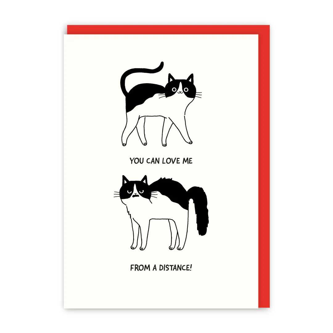 Love Me From A Distance Cat Card | In Real Life