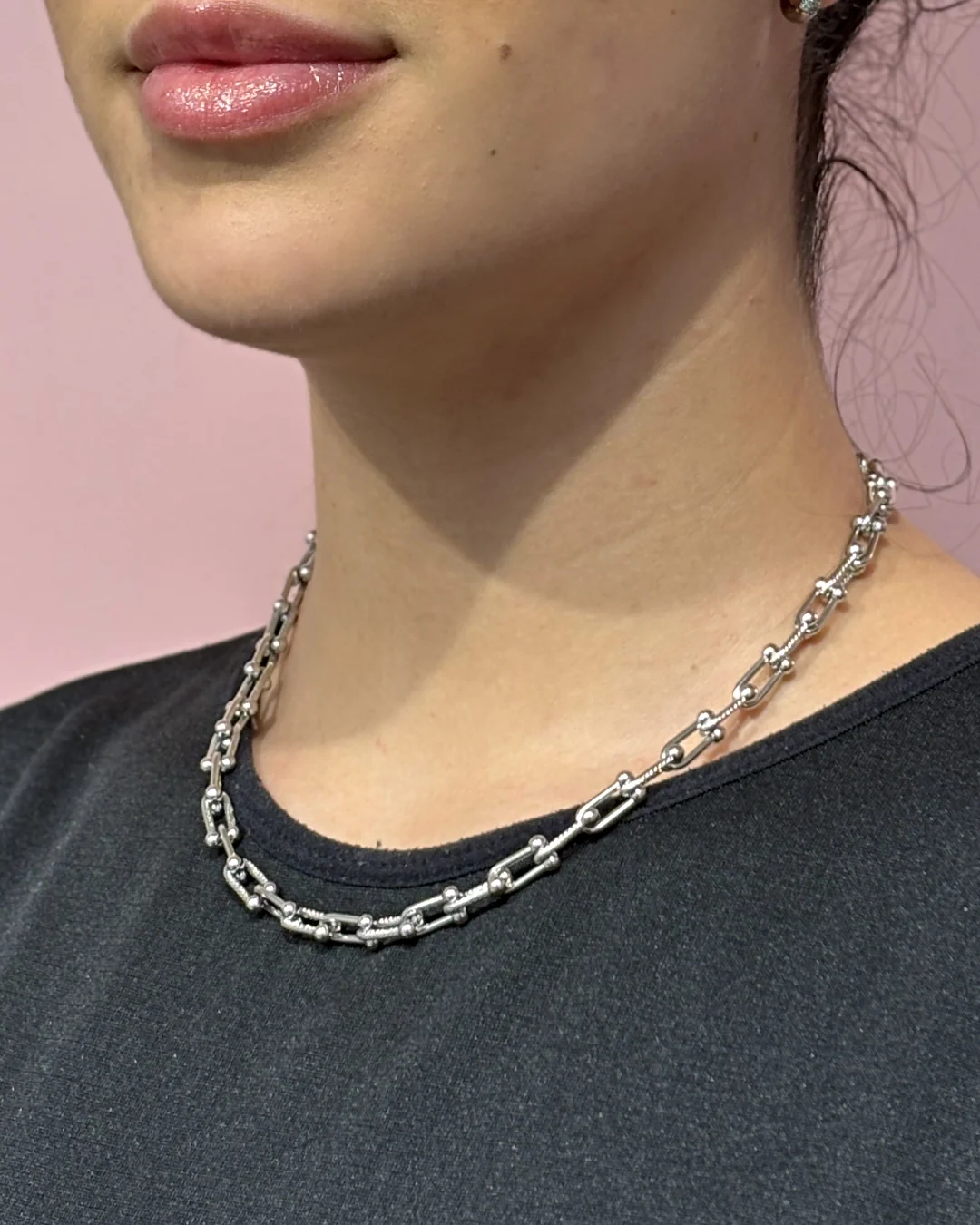 Steel U-Shape Horseshoe Link Necklace | Anartxy - Image 10